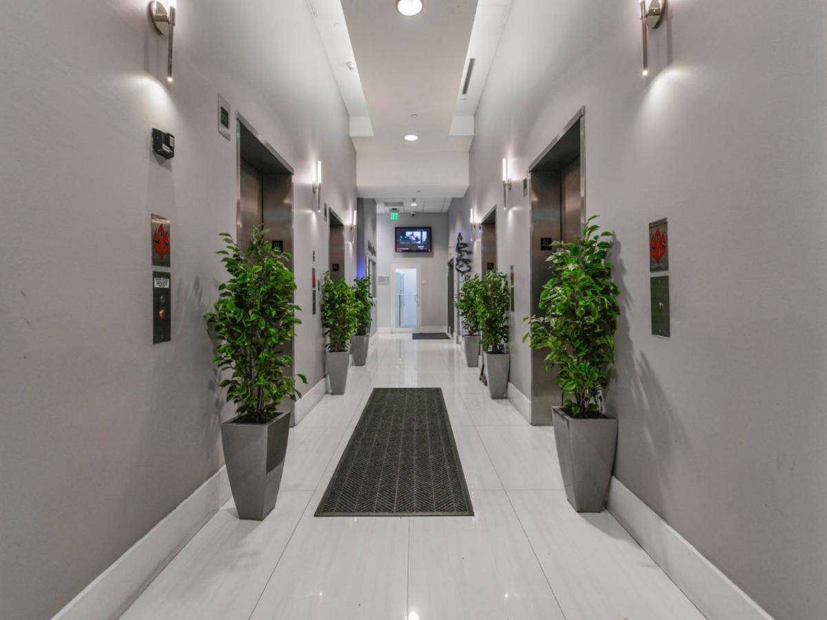 Cozy And Bohemian Studio In Brickell Маямі Екстер'єр фото